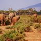 Kenya drone laws