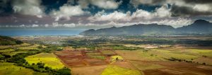 Drone Rules in hawaii