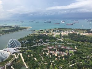 taking a drone to singapore